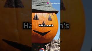 The Scarecrow and the Magical Pumpkin Patch: A Halloween Miracle!