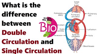 What is the difference between Double Circulation and Single Circulation by Simply The Best BIO