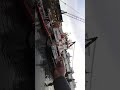 Hand Feeding Majestic Bird