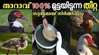 മണി താറാവും കുട്ടനാടൻ താറാവും മുട്ടയിടാൻ കൊടുക്കുന തീറ്റ | Duck Farming Kerala | Tharavu Valarthal