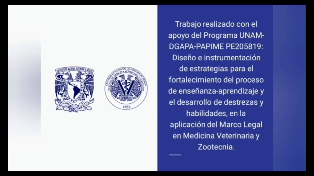 LEY DE CULTURA CÍVICA CDMX - YouTube