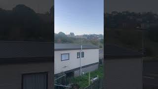 Train New Zealand #train #newzealand #dunedain #kidsvideo #fyp