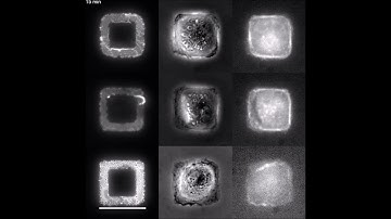 Controlling cell shape on hydrogels using lift-off protein patterning