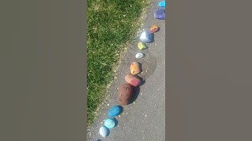 Community Rock Snake in Canada || ViralHog