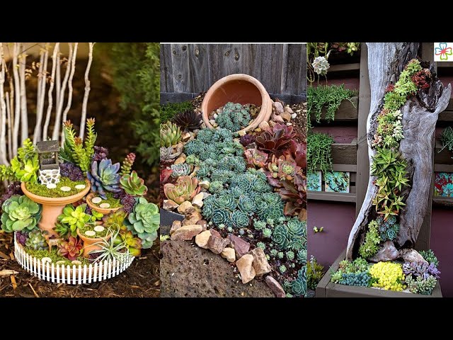 23 Awesome Succulent Porch Garden Ideas to Boost Curb Appeal class=