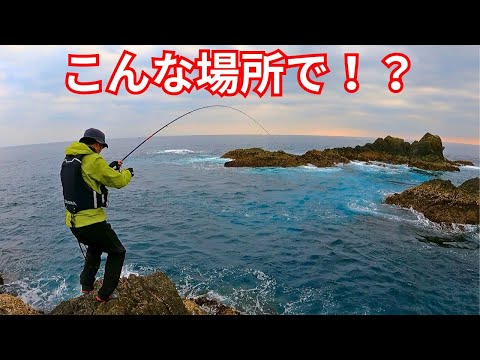 高知の磯でシーズン初の磯釣りに挑む