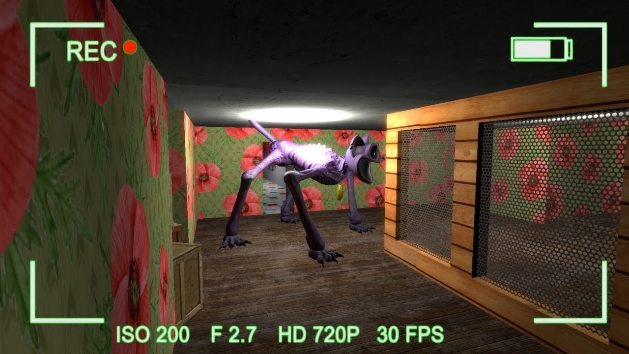 What if I Install HIDDEN CAMERAS Near CatNap's Lair? (Garry's Mod ...