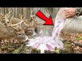 This $2 Powder Replaces Every Deer Attractant — BANNED in 22 States — Bucks Can't Resist It