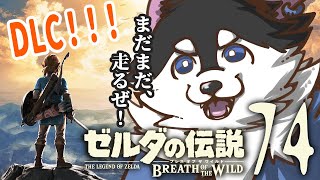 【はじめてのゼルダの伝説】＃74　DLC！DLC！ミニチャレンジもうちょい！【BotW】