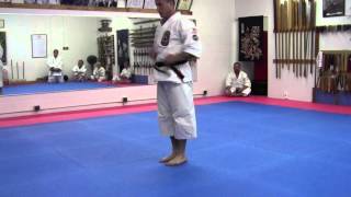 Download Lagu Isshinryu Wansu Kata MP3