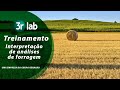 Treinamento de Análise de Forragem -  Marcelo Ramos