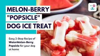 QUICK & EASY "Melon Berry Pupsicle" Frozen Dog Treat | Summer Dog treat. (Popsicle) | Monkoodog