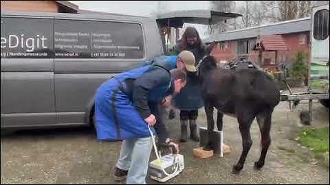Geen toekomst voor Marieke (zonder muziek)
