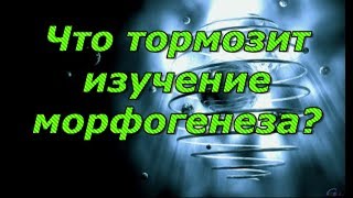 Что тормозит изучение  морфогенеза?