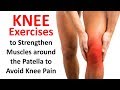 Knee Exercises to Strengthen Muscles around the Patella to Avoid Knee Pain