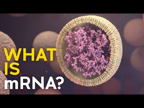 What is mRNA, and how does it work?