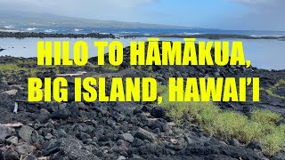 🏝️HILO TO HĀMĀKUA, BIG ISLAND, HAWAI'I🏝️