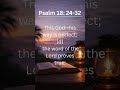 Psalm 18: 24–32 | Bible Reading by a Real Human, Not AI - No Music