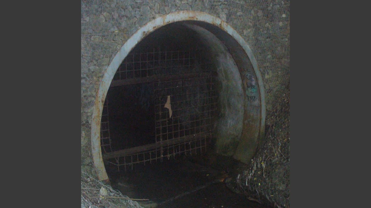 Экстрим трахх