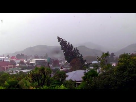 Kasırga büyük ağaçları yerinden söktü - BBC TÜRKÇE