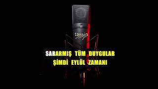Güllü - Eylül Zamanı / Karaoke / Md Altyapı / Cover / Lyrics / HQ