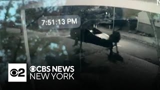 Video captures burglars stealing $100K safe from NJ home