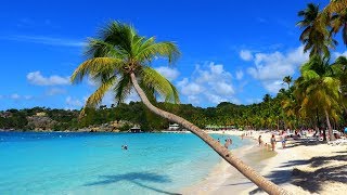 Best Beaches on les îles de Guadeloupe, incl. Plage de La Caravelle