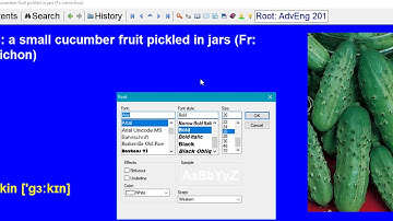 Changing fonts in SuperMemo. Stylesheets and templates