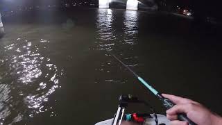 Daytona beach snook fishing, (uncut)