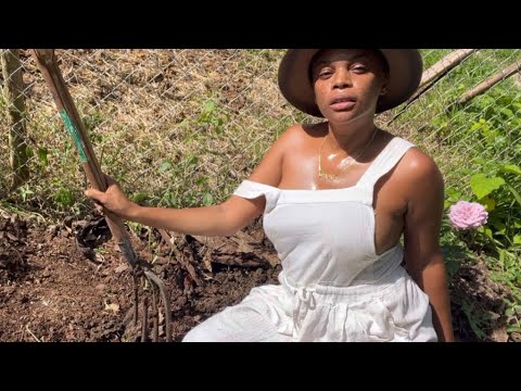 gardening landscaping  my lawn life on the homestead offgrid farmer girl jess