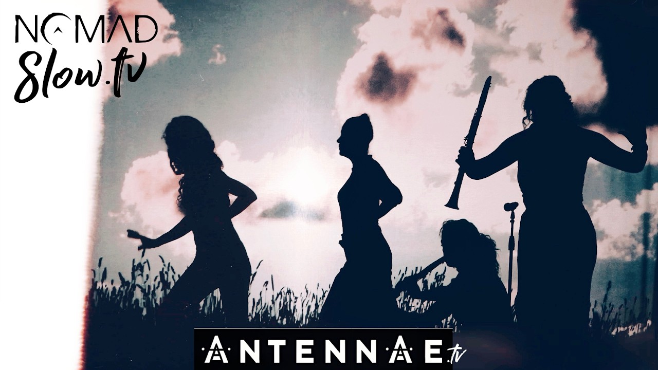 ANTENNAE Immersive Experience
