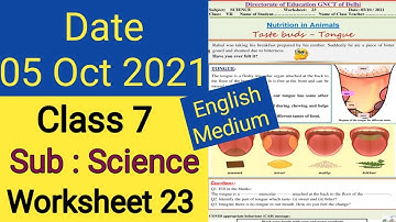 Class 7 Worksheet 23 science (5/10/21) english medium tuesday/ worksheet 23 class 7 science tuesday