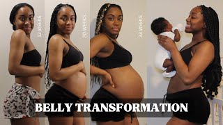 Pregnancy Transformation (Week by Week)