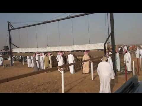 فتنه صاحبة الاندكلوزر في مهرجان شليم