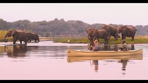 Chiawa Camp, Zambezi National Park, Zambia - Unravel Travel TV