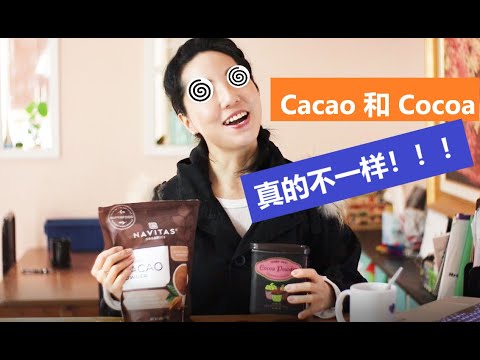 cacao vs cocoa！ 四大差别！看完后觉得这些年的可可粉都喝错了！-EP02