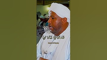 سورة التوبة الشيخ الزين محمد احمد #سورة #viral #reels #quran #الله #القرآن #تلاوة #تلاوات #reel