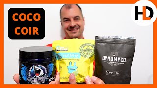 Experimento de micorrizas triplas raizes e crescimento explodem