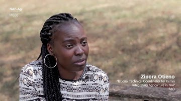 NAP-Ag MOOC - Week 1 Part 2 - International Agreements on Climate Change