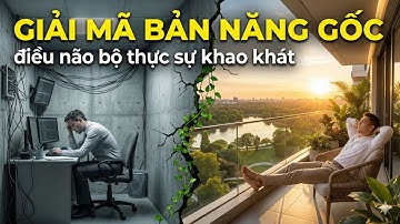 Giải mã bản năng gốc điều não bộ thực sự khao khát