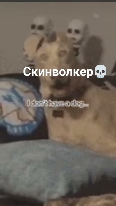 СКИНВОЛКЕР💀💀💀💀 - YouTube