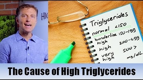 The True Cause of High Triglycerides – Dr. Berg