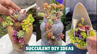 Succulent DIY Ideas from Recycling  Succulent Garden #肉植物 #다육이들 #Suculentas