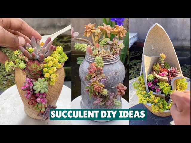 Succulent DIY Ideas from Recycling - Succulent Garden #肉植物 #다육이들 #Suculentas class=