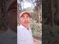 sath mein ek Hasina Ho #live #song #shortvideo #viralshort #comedy #viralsong