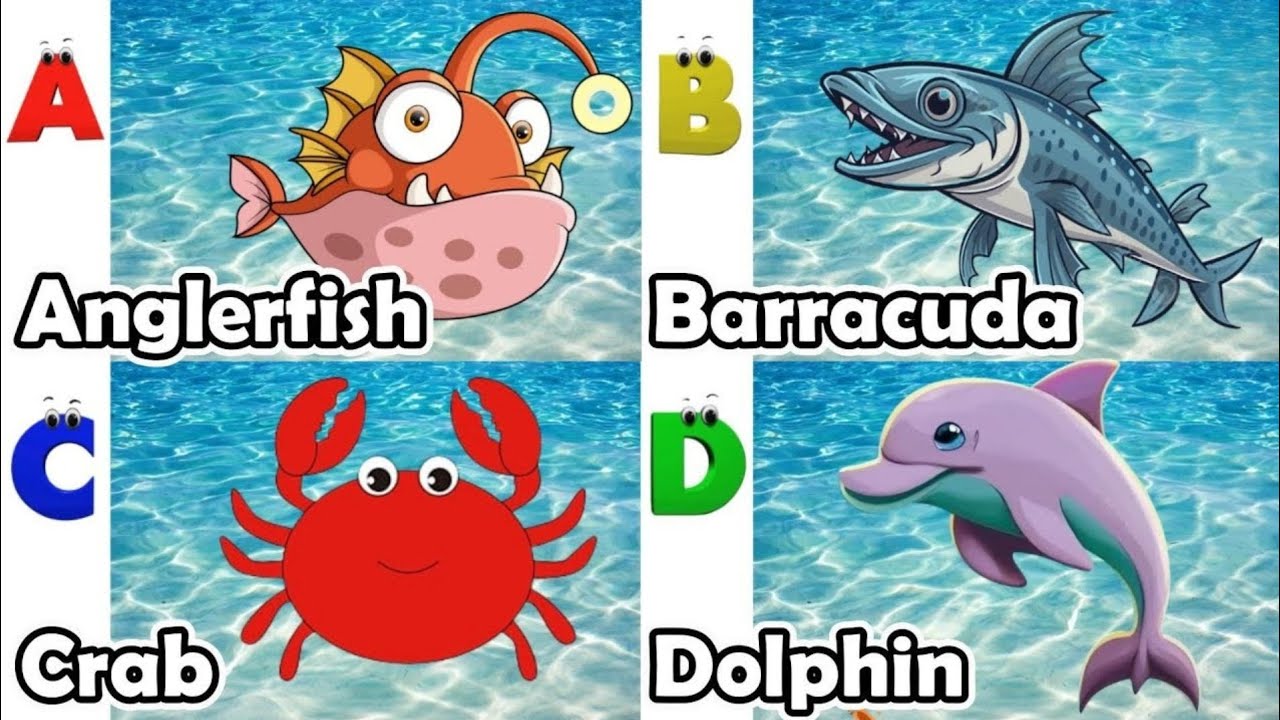 ABC Sea Animals | ABC Safari Animals 18TH1188 | Alphabet Animals Song ...