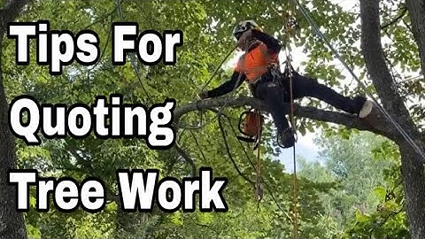 Tips For Quoting Tree Removal & Tree Work Jobs | THINGS YOU NEED TO CONSIDER