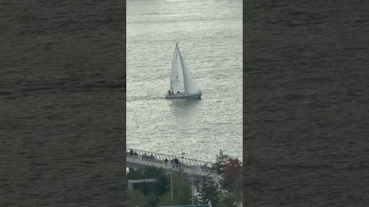 Little boat in the Big Apple