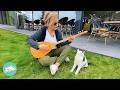 Stubborn Cat Only Likes Listening To One Song Cuddle Buddies Stubborn Cat Only Likes Listening To One Song Cuddle Buddies
