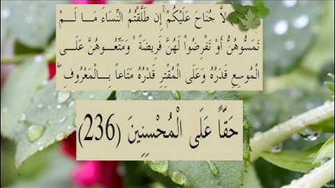 القران الكريم سورة البقرة الاية  236